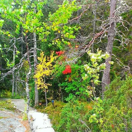 Villa Kolin Kaskilinna *