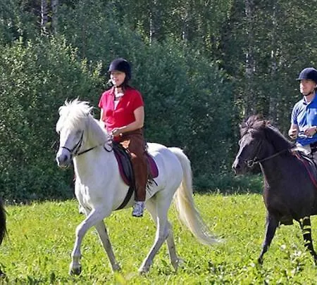 Kolin Kaskilinna Villa