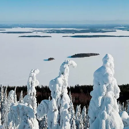 Kolin Kaskilinna Villa *