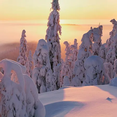 Villa Kolin Kaskilinna Kolinkylä