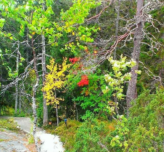 Villa Kolin Kaskilinna *