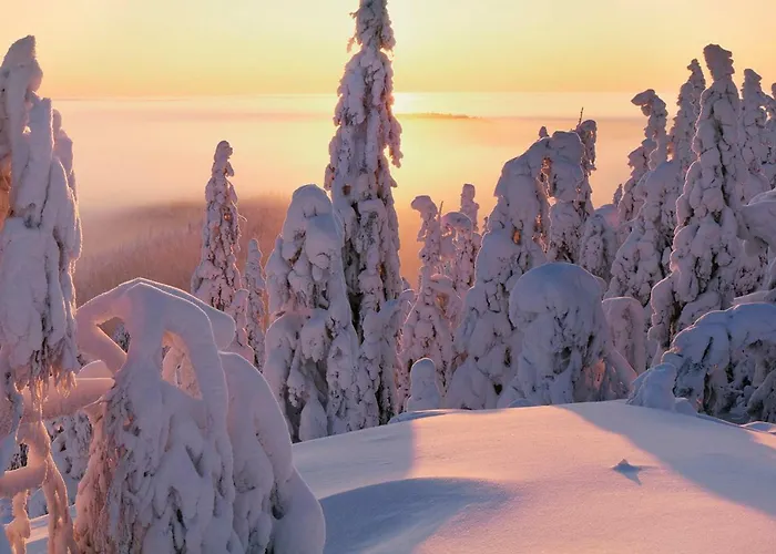 Villa Kolin Kaskilinna Kolinkylä